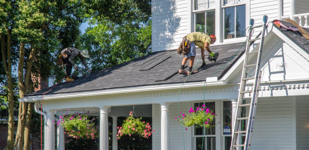 Best Roof Leak Repair  in Chester, WV