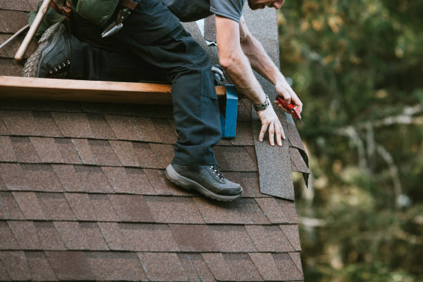 Best Roof Maintenance Services  in Chester, WV